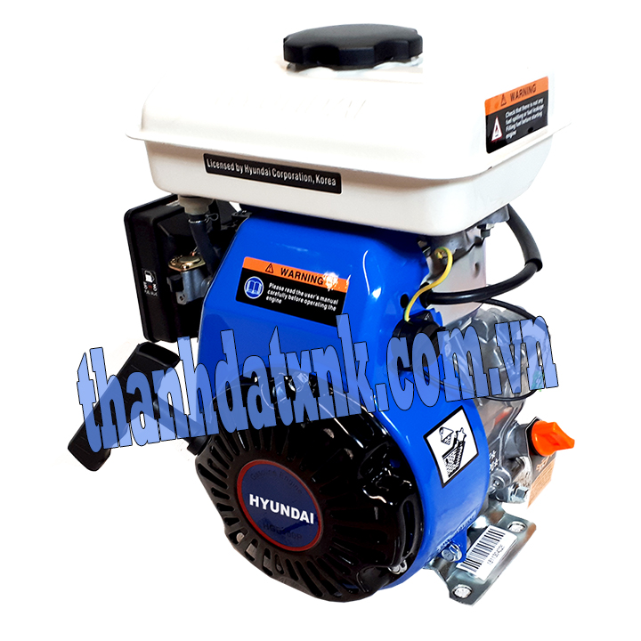 Động Cơ Xăng 3Hp Hyundai HGE100P