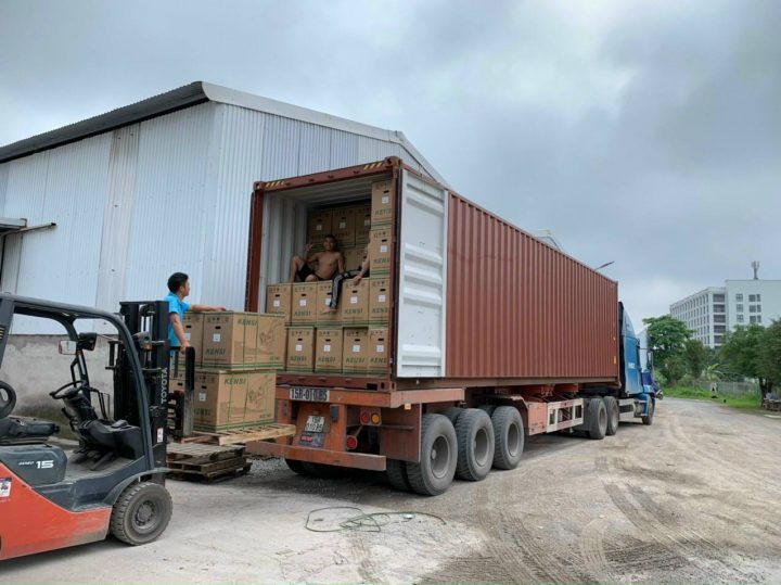 Máy Xới Đất Chạy Xăng Kensi KS170 - Hình ảnh 5